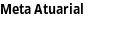 Meta Atuarial