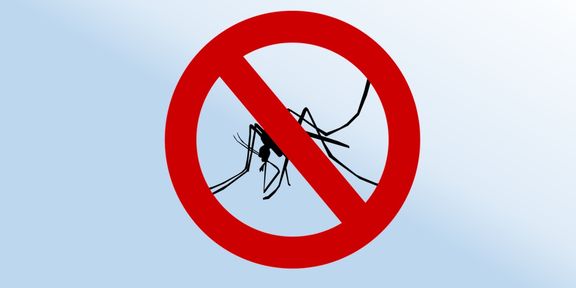 Dengue: veja quais os sintomas da doença e como evitar